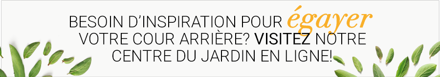 Besoin d'inspiration pour égayer votre cour arrière? Visitez notre centre du jardin en ligne!